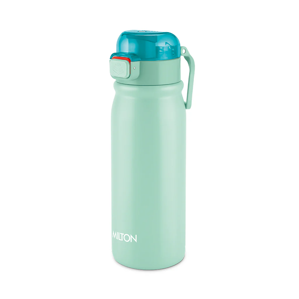 Reva Stainless Steel Bottle (Milton) - Image 24