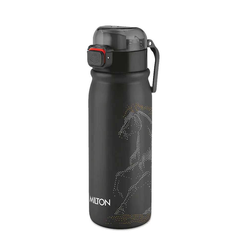 Reva UV Design Stainless Steel Bottle - (Milton) - Image 3